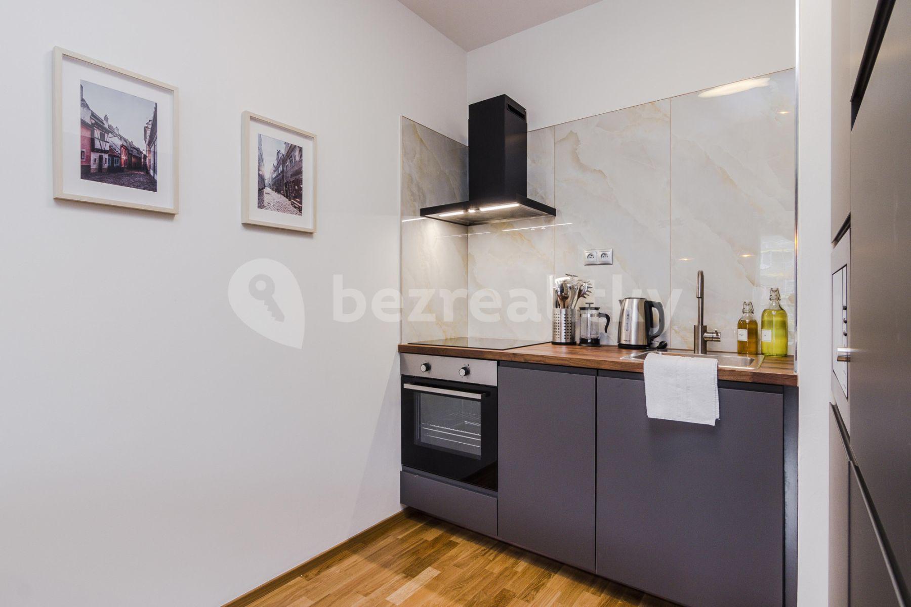 1 bedroom with open-plan kitchen flat to rent, 54 m², Laponská, Prague, Prague