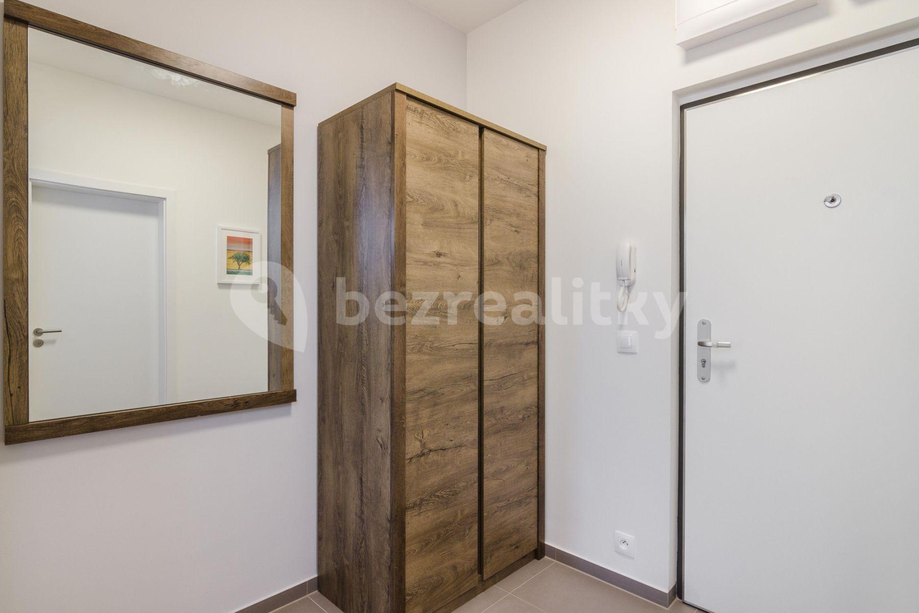 1 bedroom with open-plan kitchen flat to rent, 54 m², Laponská, Prague, Prague