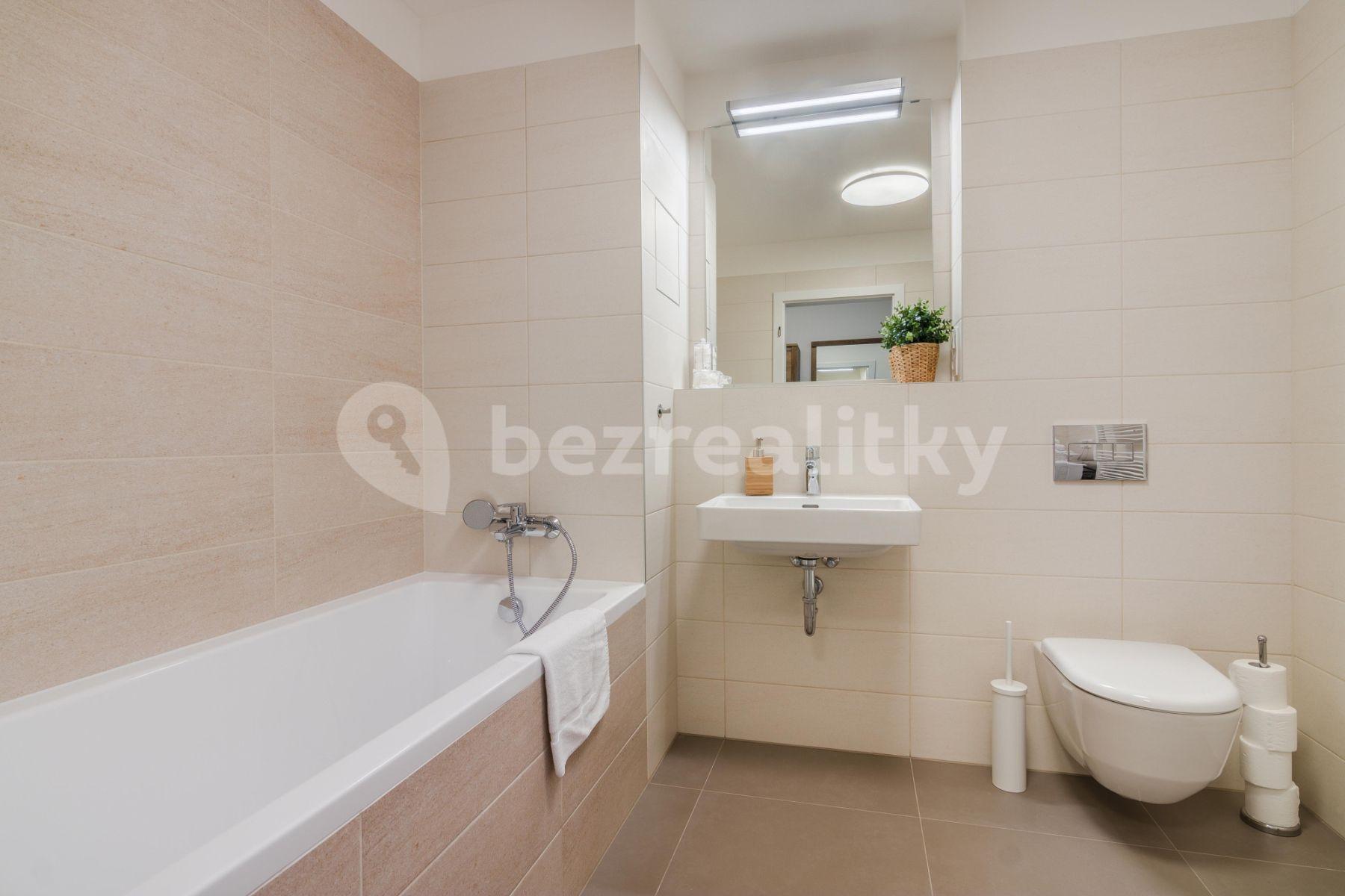 1 bedroom with open-plan kitchen flat to rent, 54 m², Laponská, Prague, Prague