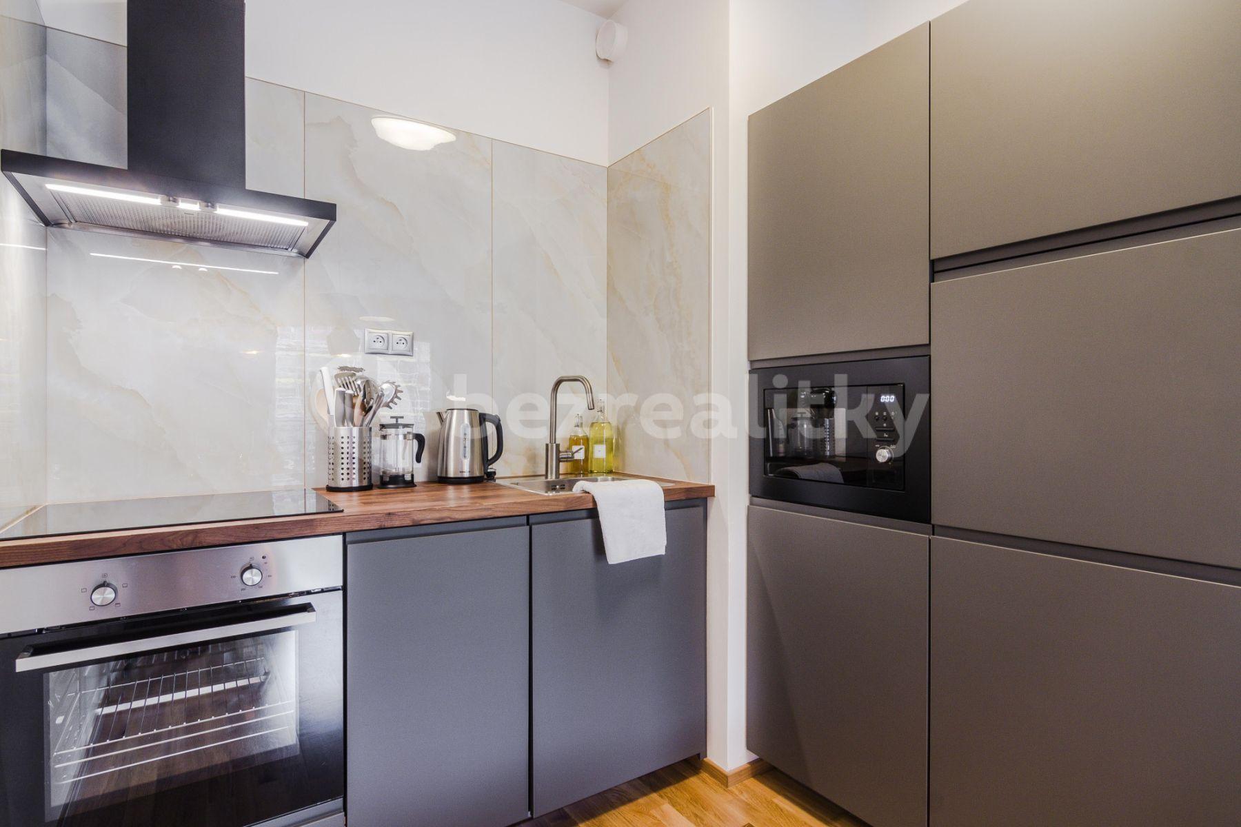 1 bedroom with open-plan kitchen flat to rent, 54 m², Laponská, Prague, Prague