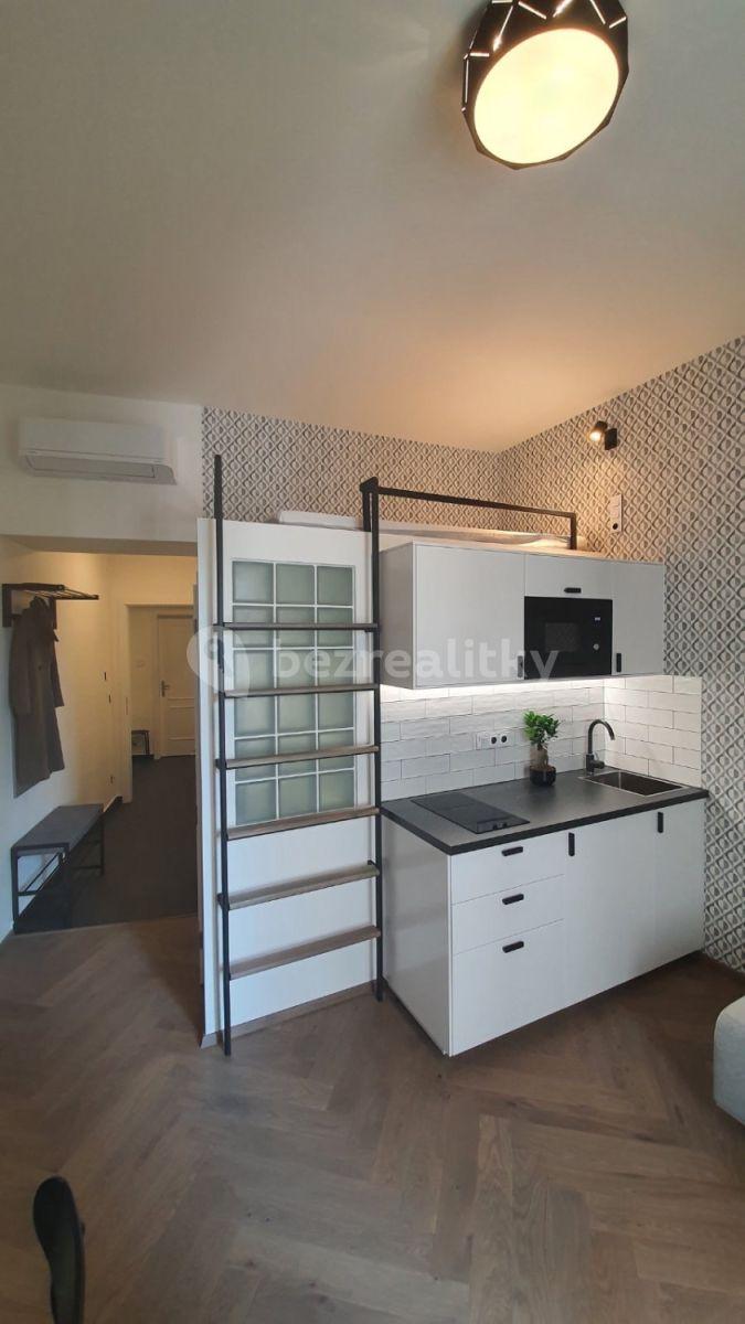 Studio flat to rent, 25 m², Lípová, Prague, Prague