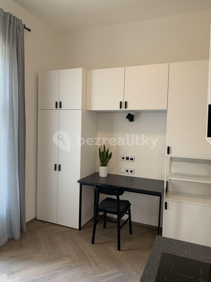 Studio flat to rent, 25 m², Lípová, Prague, Prague