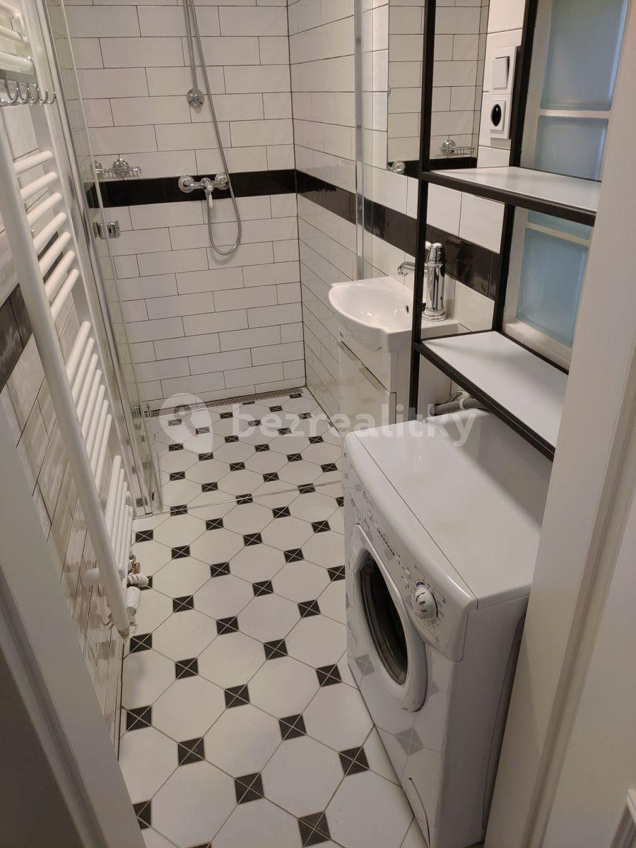 Studio flat to rent, 25 m², Lípová, Prague, Prague