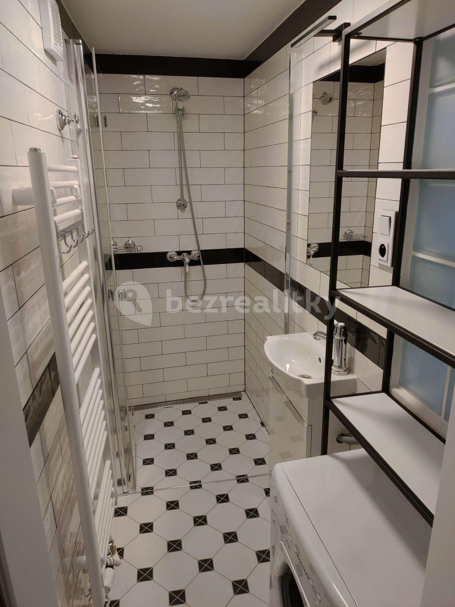 Studio flat to rent, 25 m², Lípová, Prague, Prague