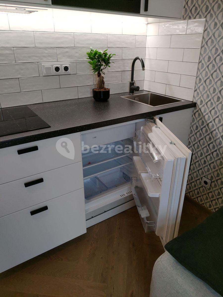 Studio flat to rent, 25 m², Lípová, Prague, Prague