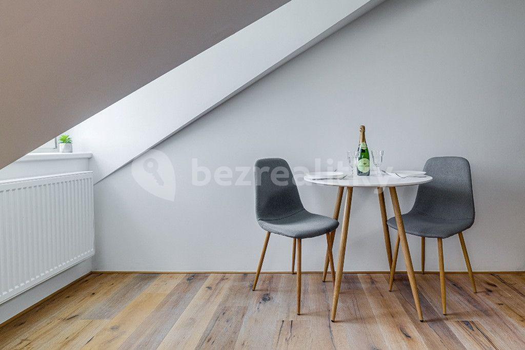 Studio flat to rent, 34 m², Kaizlovy sady, Prague, Prague