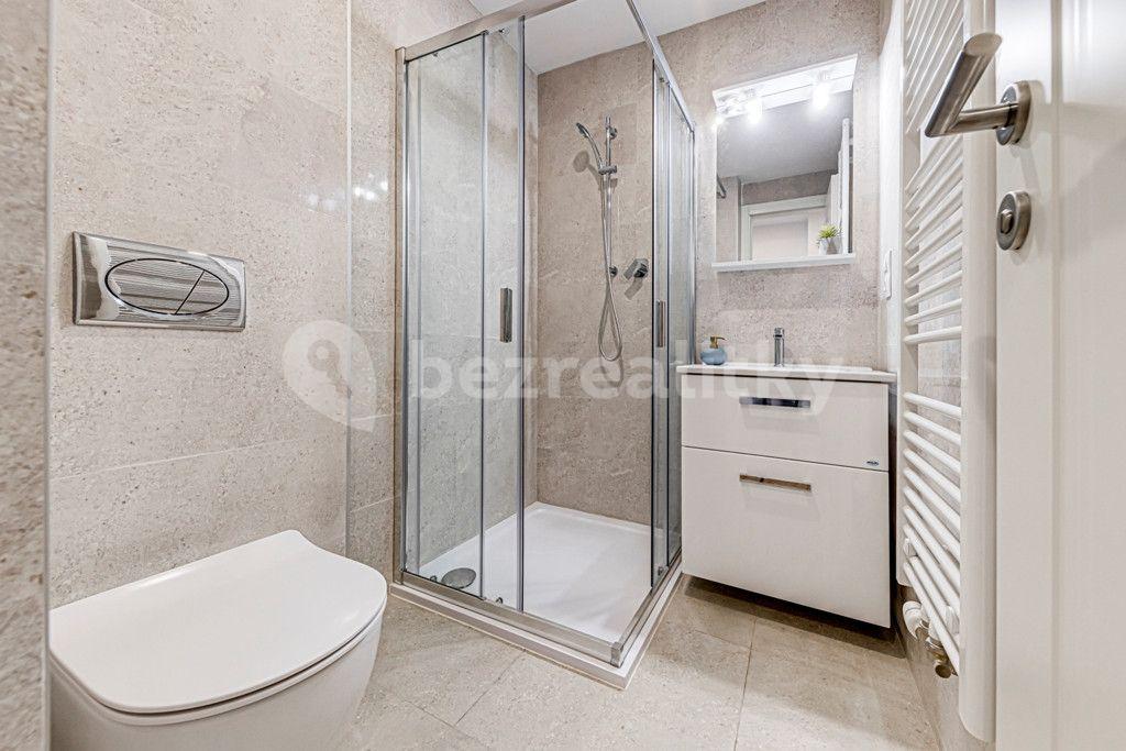 Studio flat to rent, 34 m², Kaizlovy sady, Prague, Prague