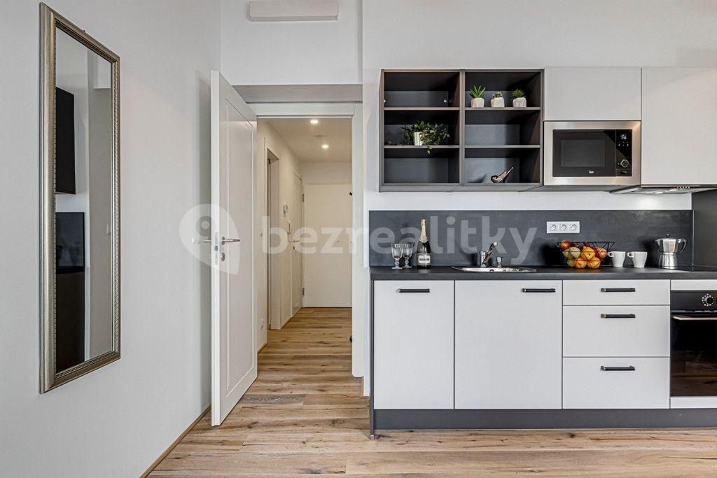 Studio flat to rent, 34 m², Kaizlovy sady, Prague, Prague