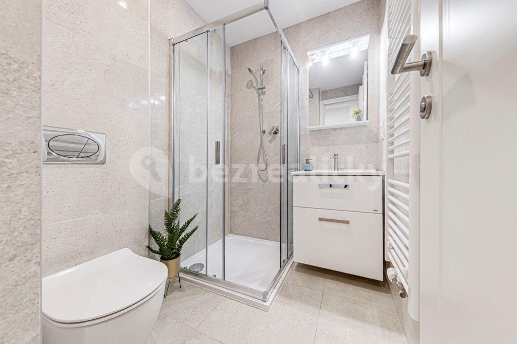 Studio flat to rent, 34 m², Kaizlovy sady, Prague, Prague