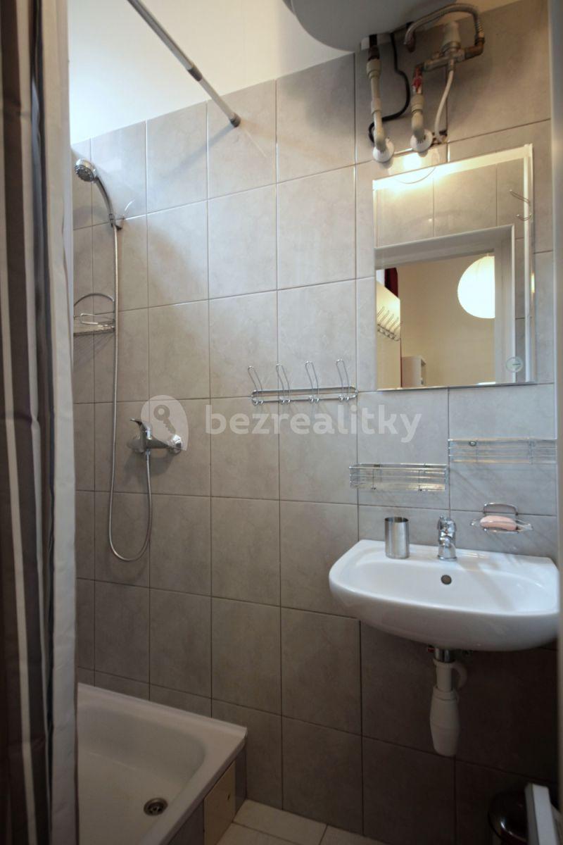 Studio flat to rent, 24 m², Tyršova, Prague, Prague