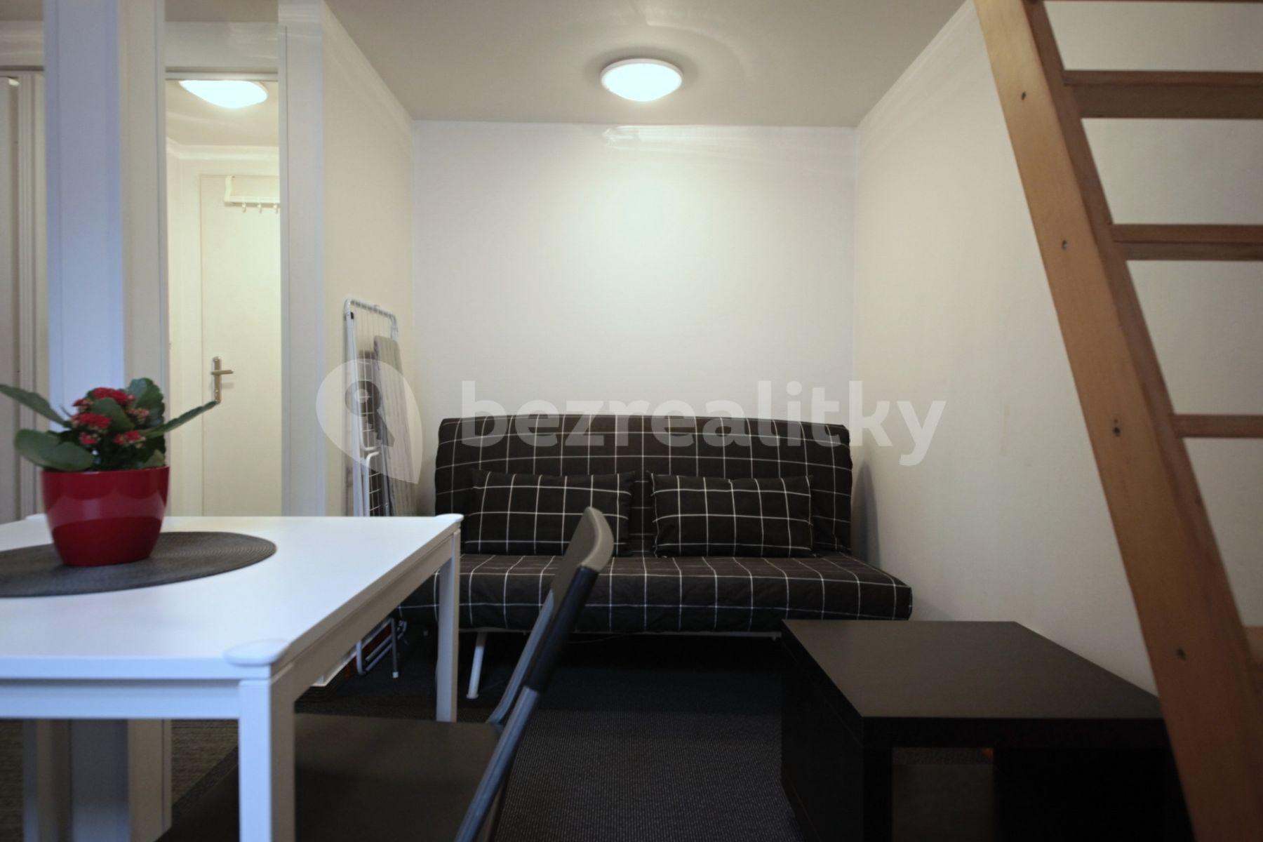 Studio flat to rent, 24 m², Tyršova, Prague, Prague