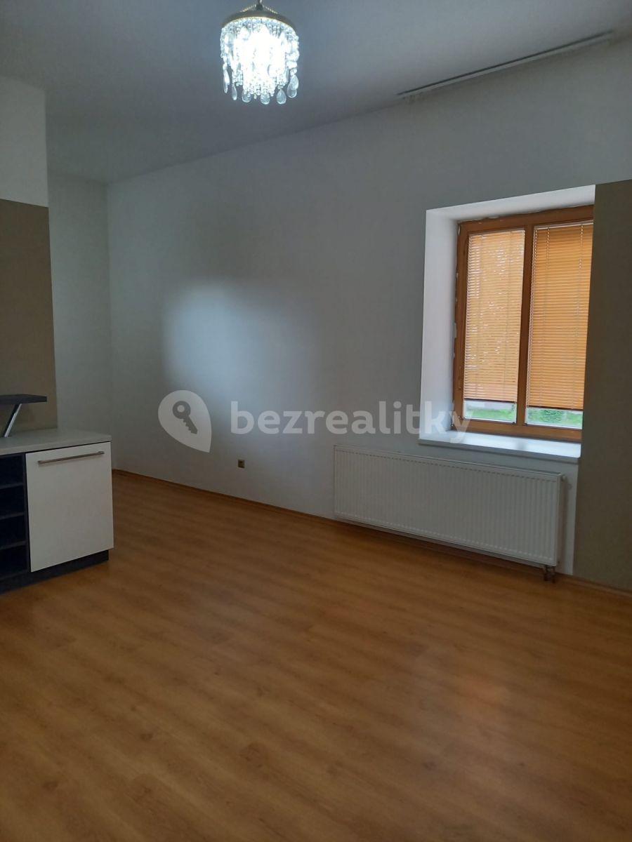 1 bedroom with open-plan kitchen flat for sale, 57 m², Budějovická, Písek, Jihočeský Region