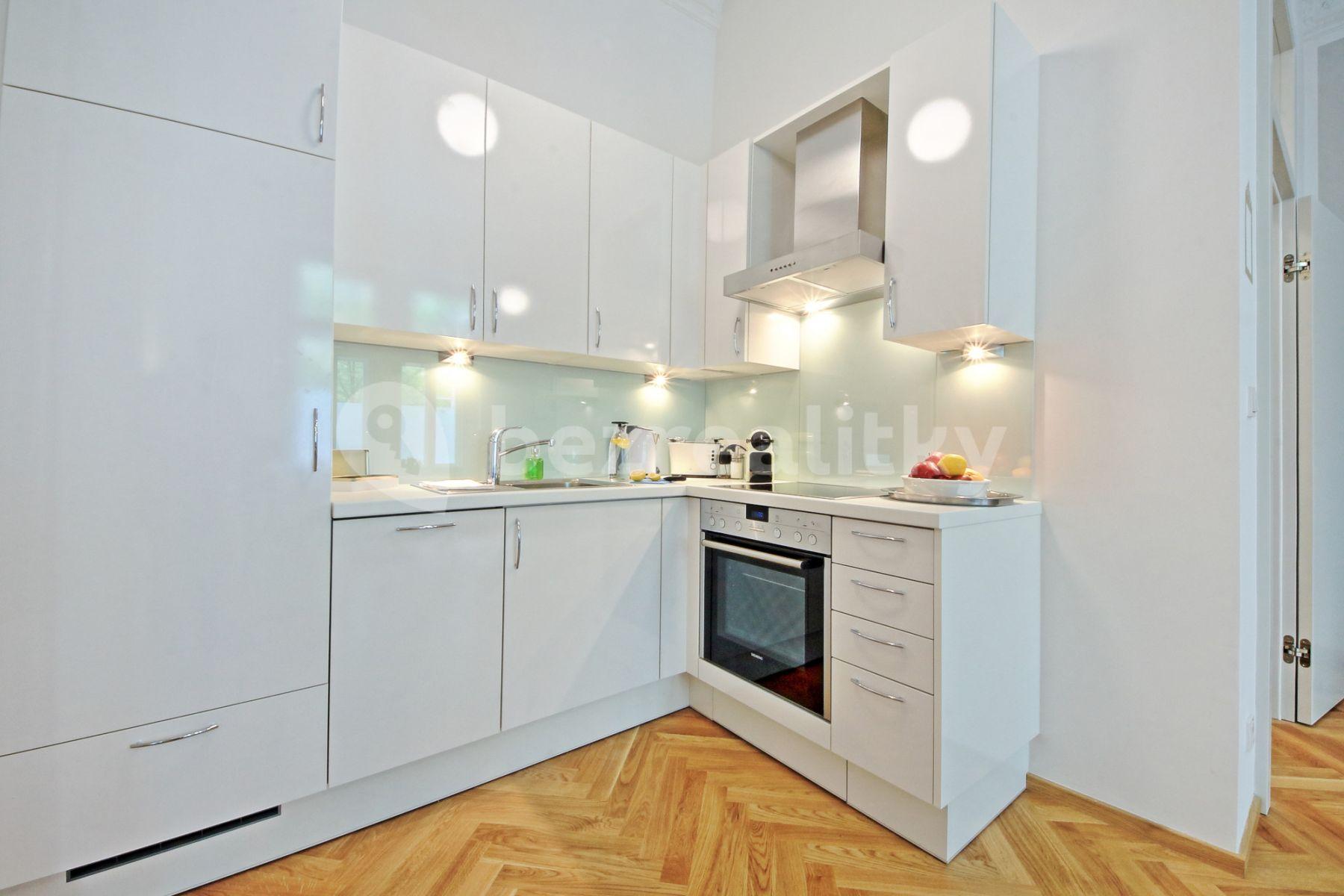 1 bedroom with open-plan kitchen flat to rent, 55 m², Balbínova, Prague, Prague