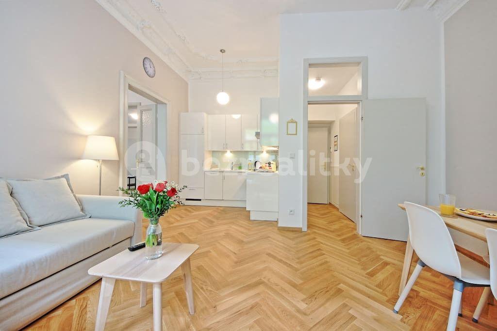 1 bedroom with open-plan kitchen flat to rent, 55 m², Balbínova, Prague, Prague