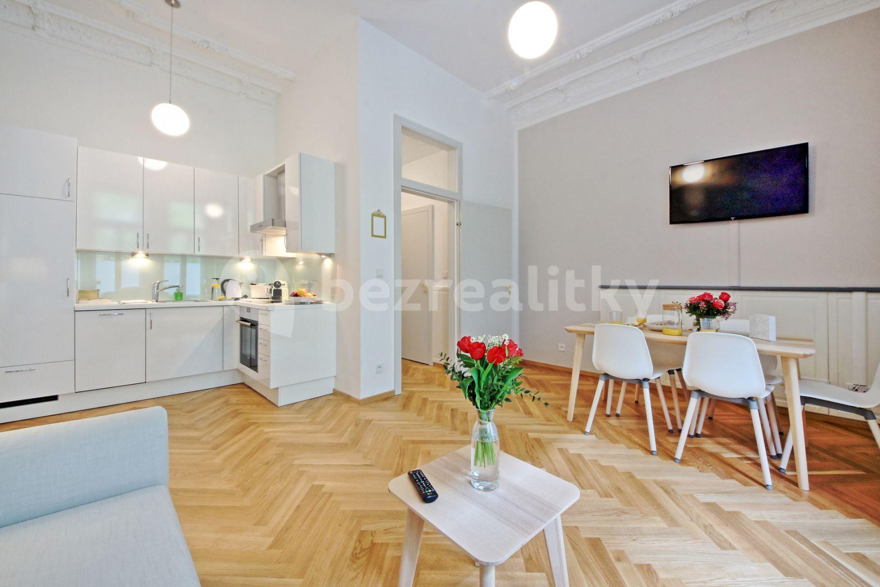 1 bedroom with open-plan kitchen flat to rent, 55 m², Balbínova, Prague, Prague