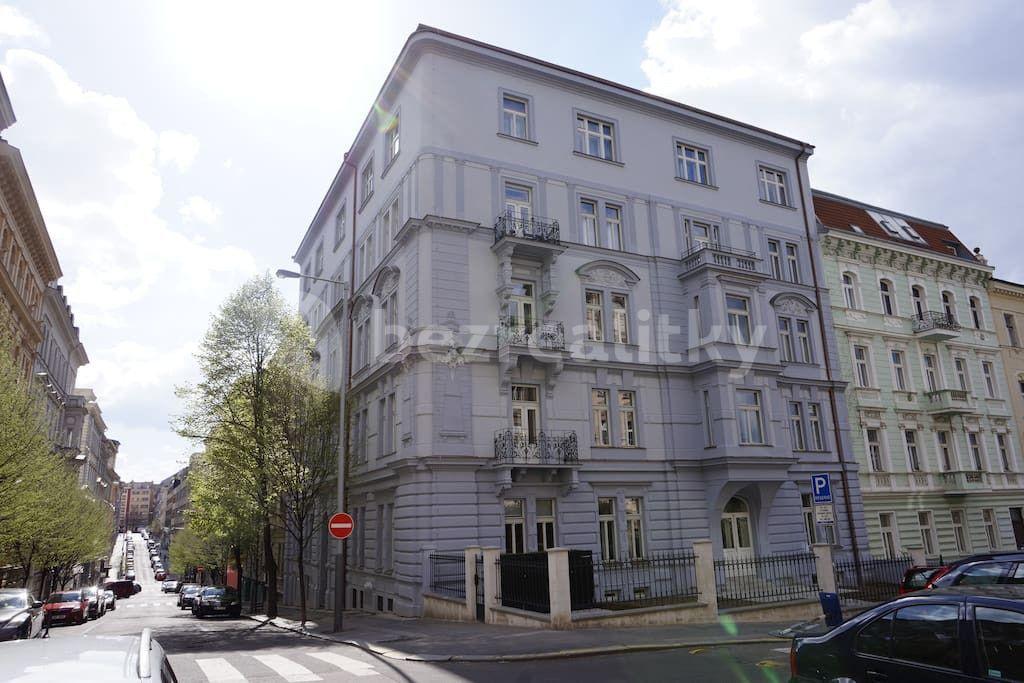 1 bedroom with open-plan kitchen flat to rent, 55 m², Balbínova, Prague, Prague