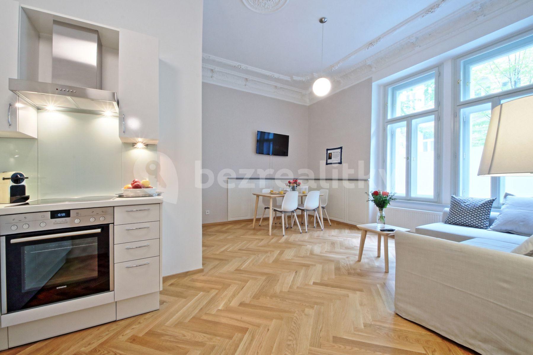 1 bedroom with open-plan kitchen flat to rent, 55 m², Balbínova, Prague, Prague