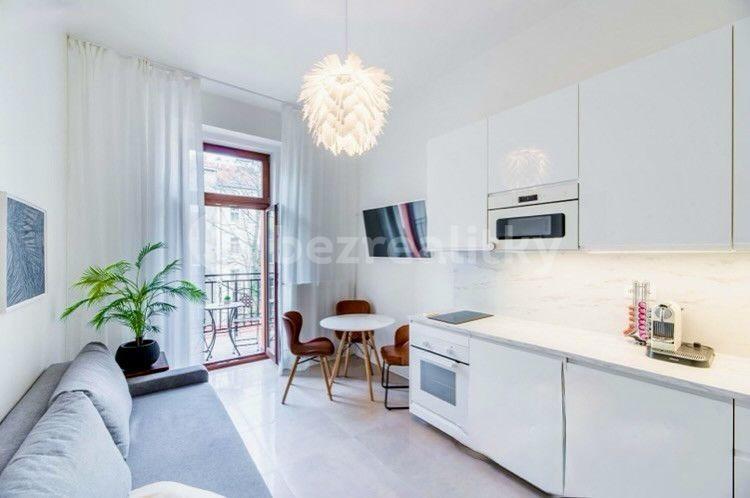 1 bedroom with open-plan kitchen flat to rent, 45 m², Legerova, Prague, Prague