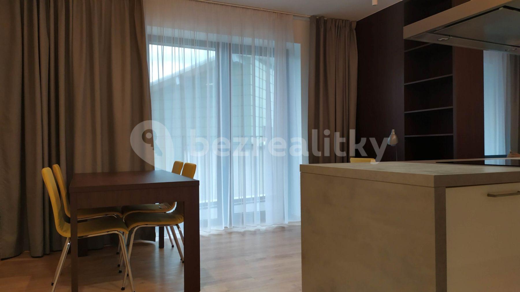 1 bedroom with open-plan kitchen flat to rent, 81 m², Mukařovského, Prague, Prague