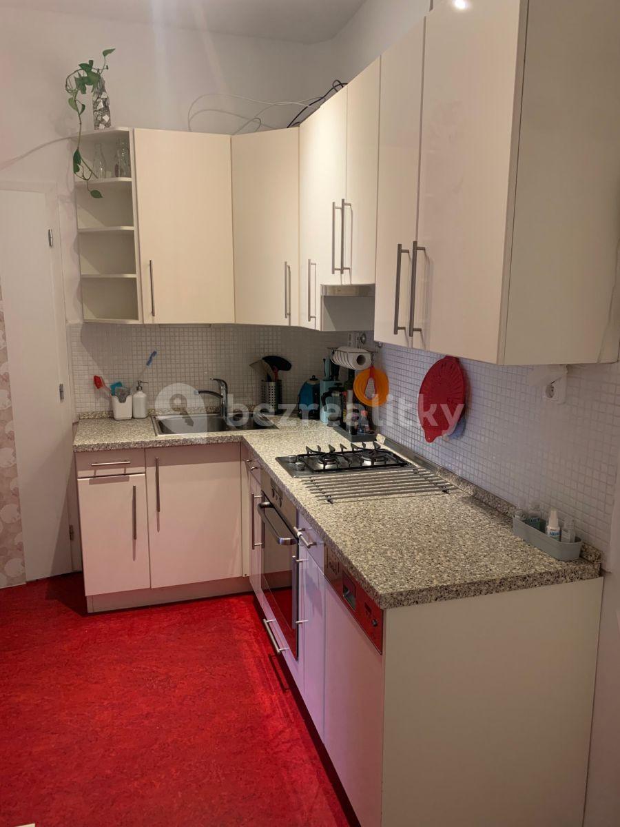 1 bedroom with open-plan kitchen flat to rent, 52 m², U Křížku, Prague, Prague