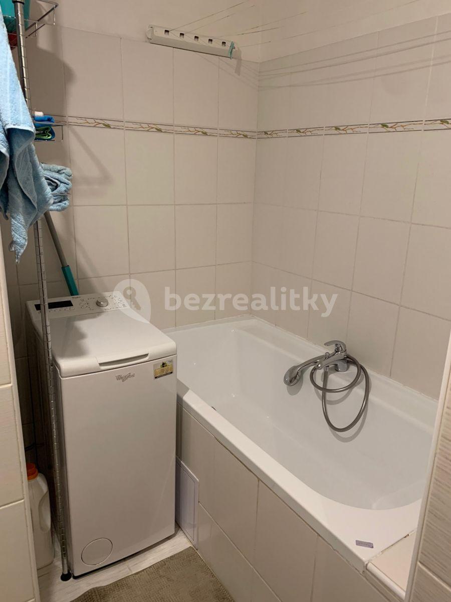 1 bedroom with open-plan kitchen flat to rent, 52 m², U Křížku, Prague, Prague