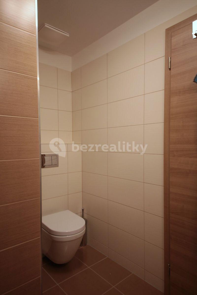 Studio flat to rent, 35 m², Modrého, Prague, Prague