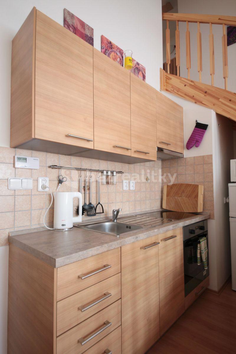 1 bedroom with open-plan kitchen flat to rent, 40 m², Buchovcova, Prague, Prague