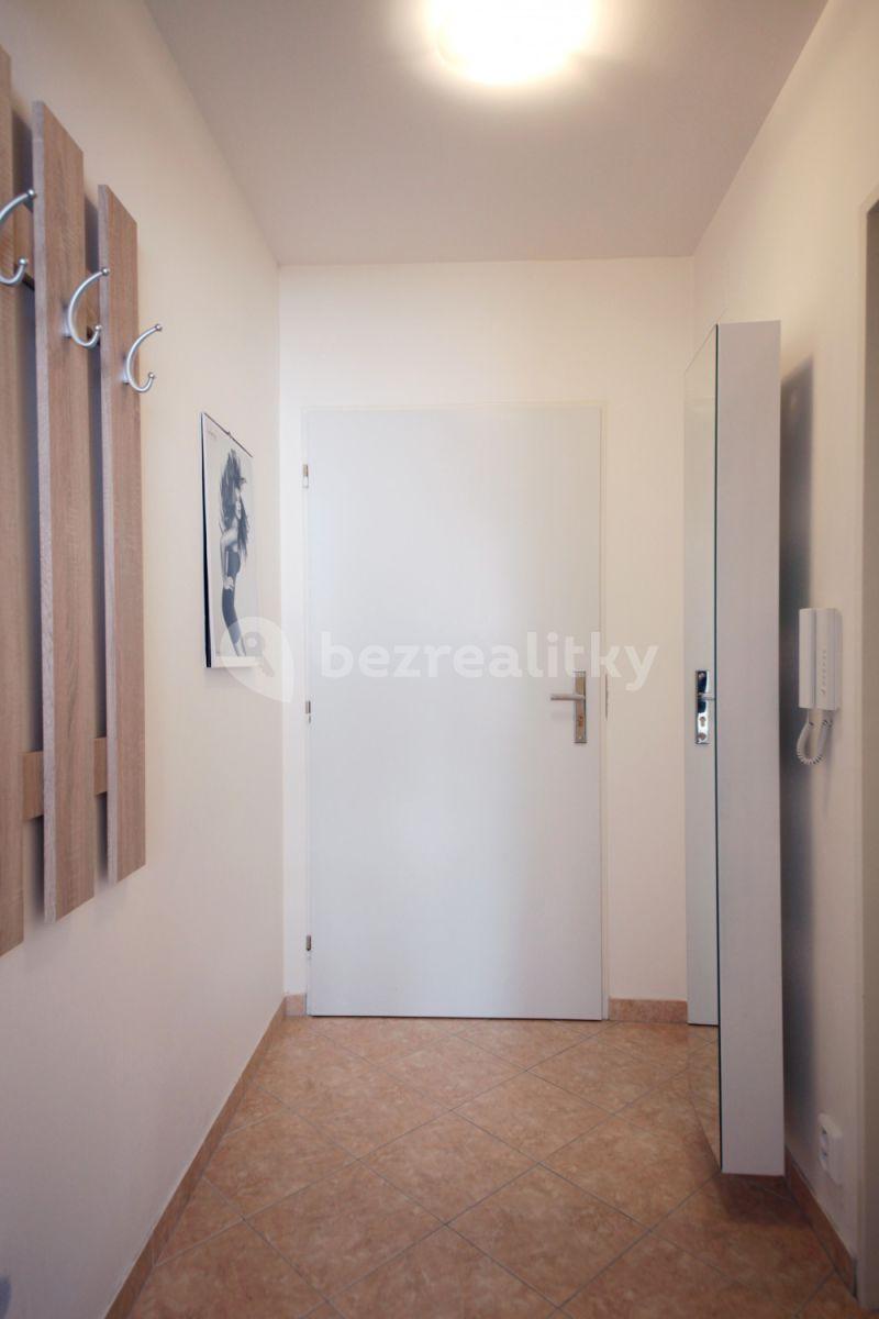 1 bedroom with open-plan kitchen flat to rent, 40 m², Buchovcova, Prague, Prague