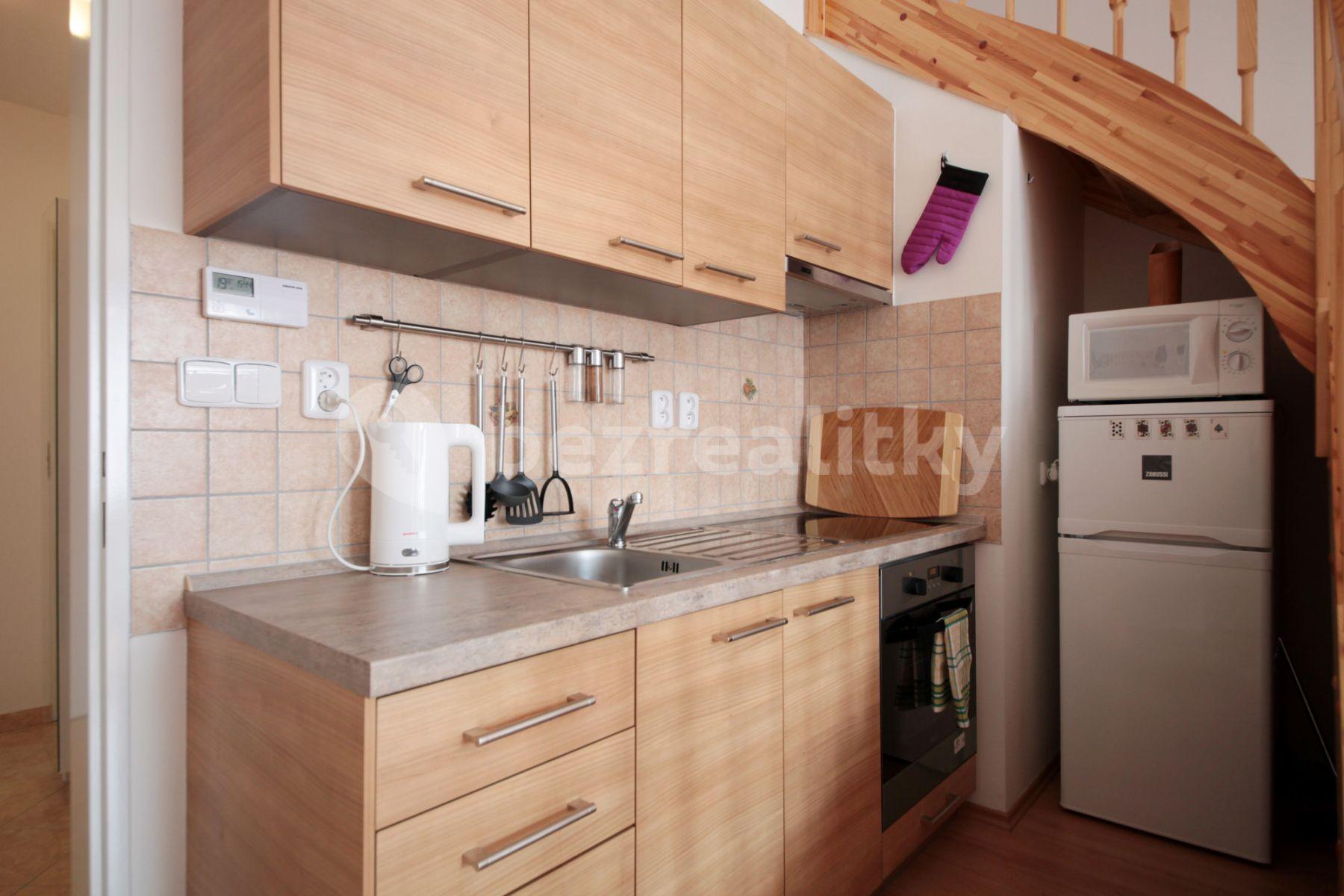 1 bedroom with open-plan kitchen flat to rent, 40 m², Buchovcova, Prague, Prague