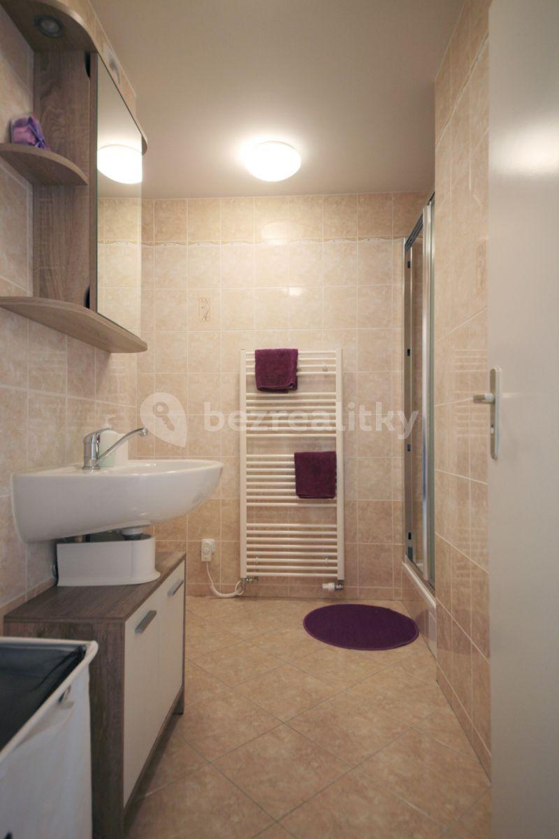 1 bedroom with open-plan kitchen flat to rent, 40 m², Buchovcova, Prague, Prague