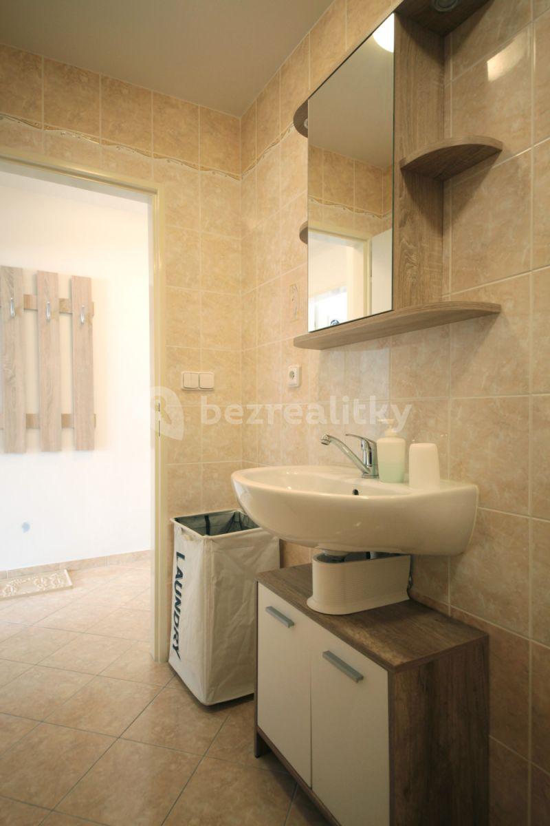 1 bedroom with open-plan kitchen flat to rent, 40 m², Buchovcova, Prague, Prague