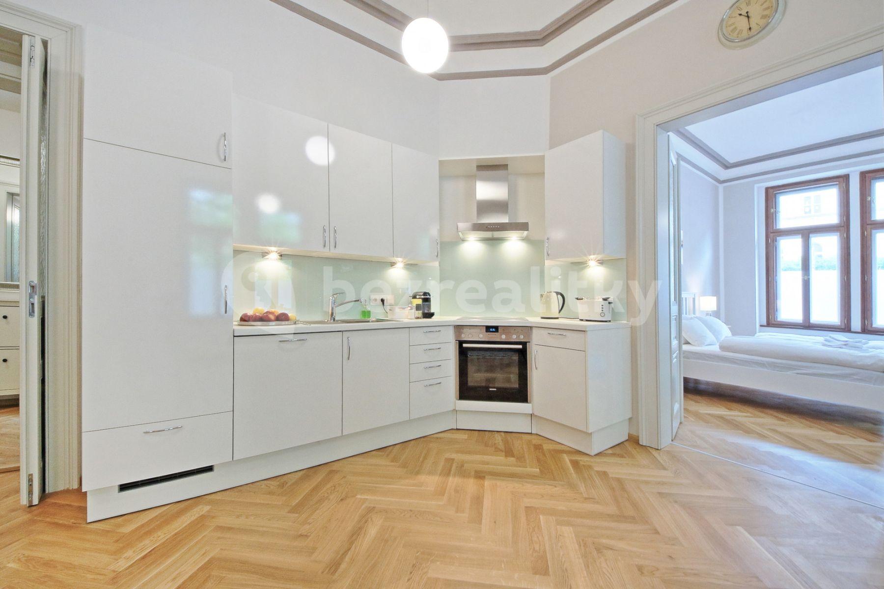 1 bedroom with open-plan kitchen flat to rent, 68 m², Balbínova, Prague, Prague