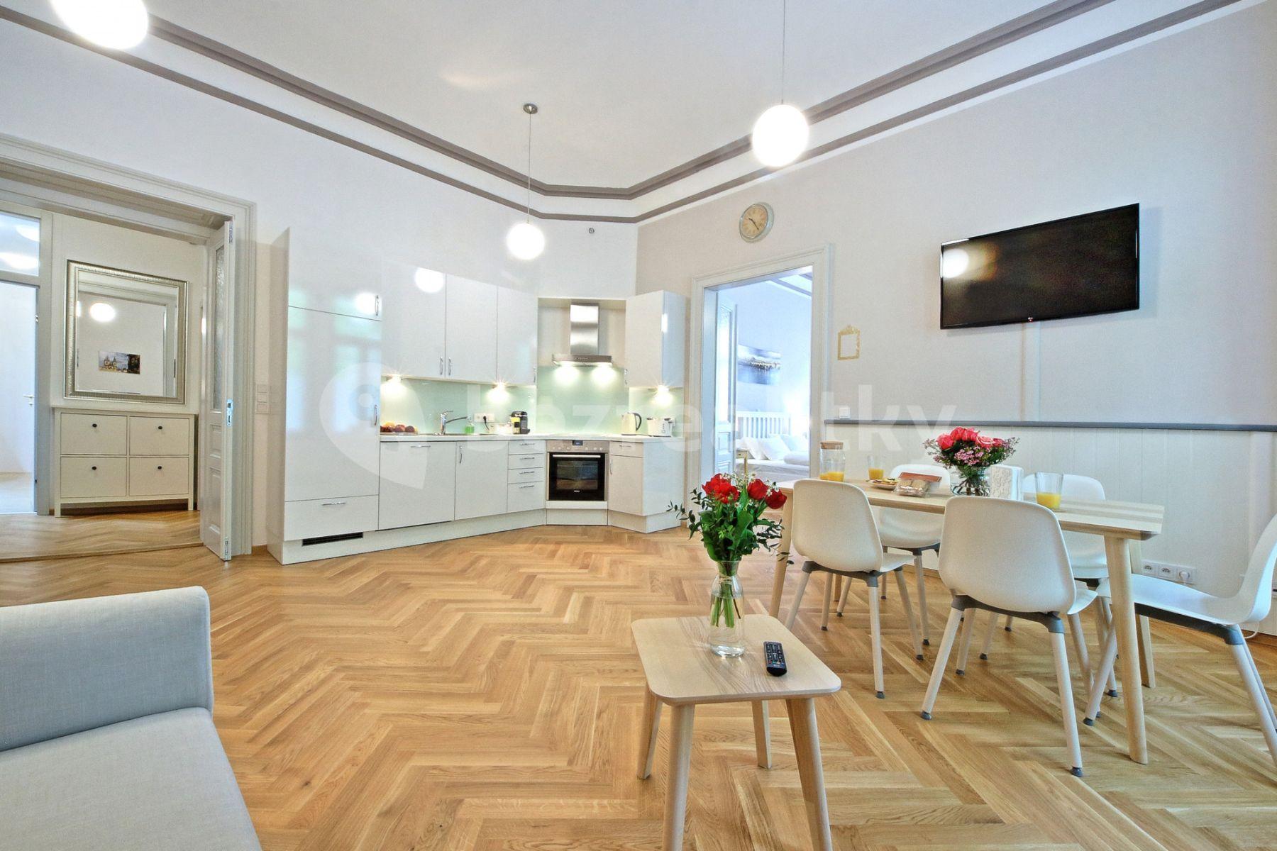 1 bedroom with open-plan kitchen flat to rent, 68 m², Balbínova, Prague, Prague