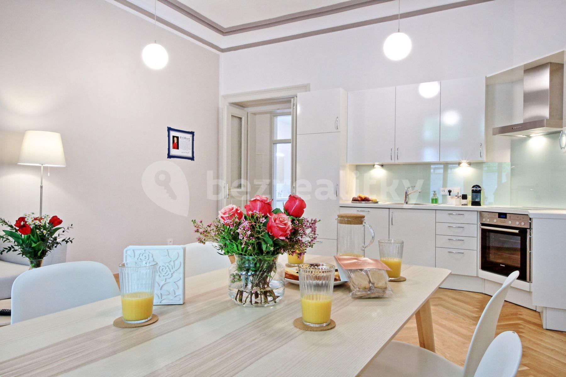 1 bedroom with open-plan kitchen flat to rent, 68 m², Balbínova, Prague, Prague