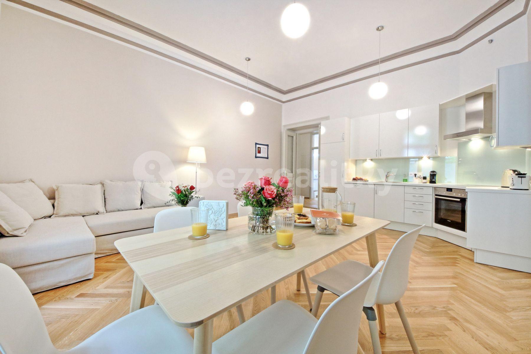 1 bedroom with open-plan kitchen flat to rent, 68 m², Balbínova, Prague, Prague