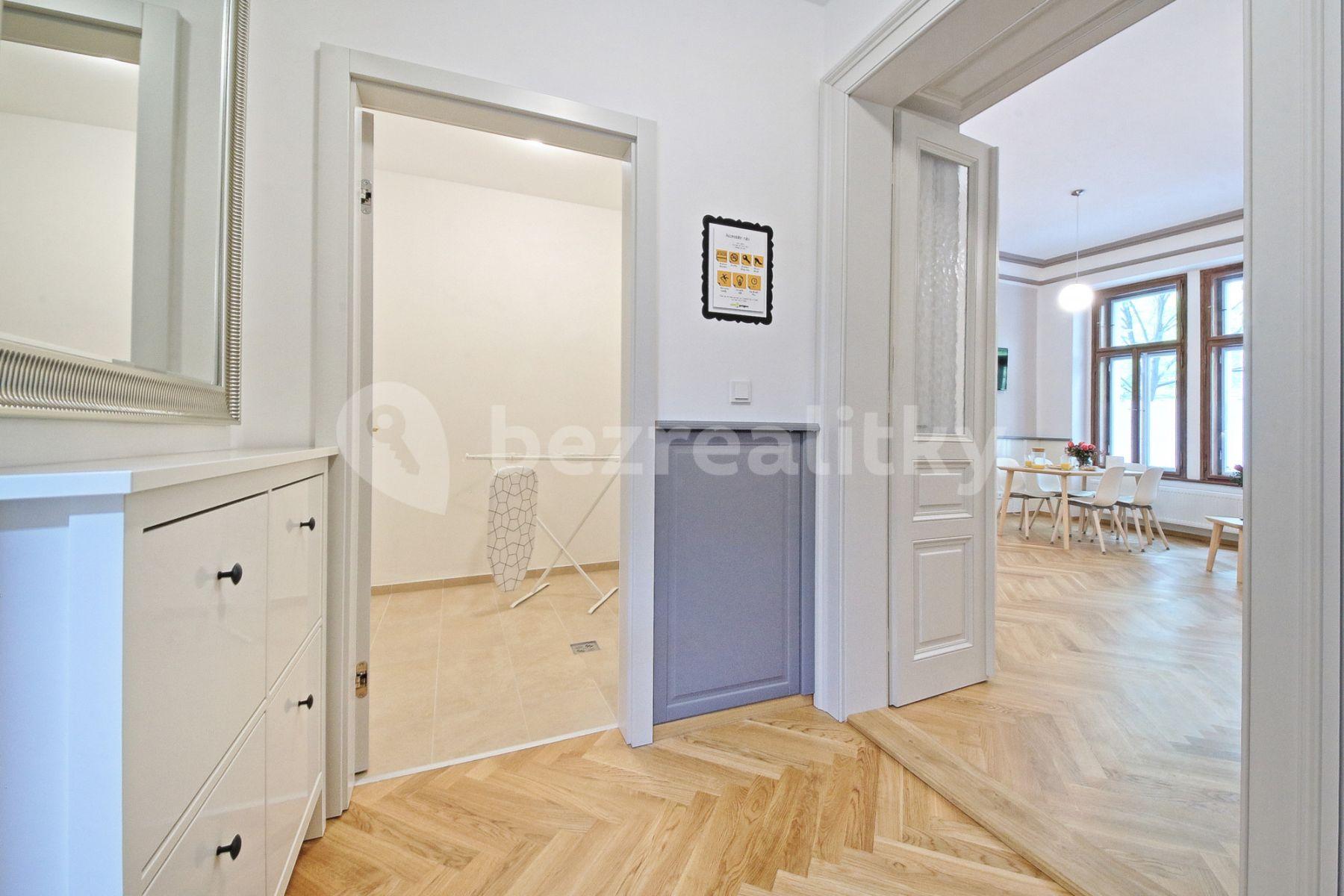 1 bedroom with open-plan kitchen flat to rent, 68 m², Balbínova, Prague, Prague