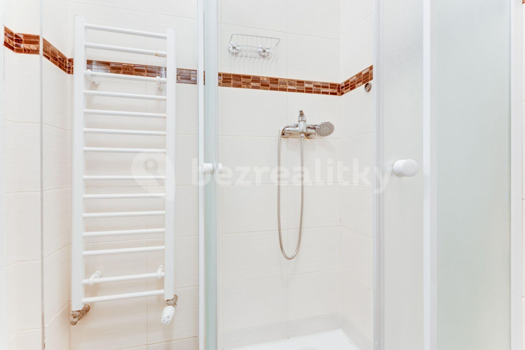 Studio flat to rent, 55 m², Lublaňská, Prague, Prague