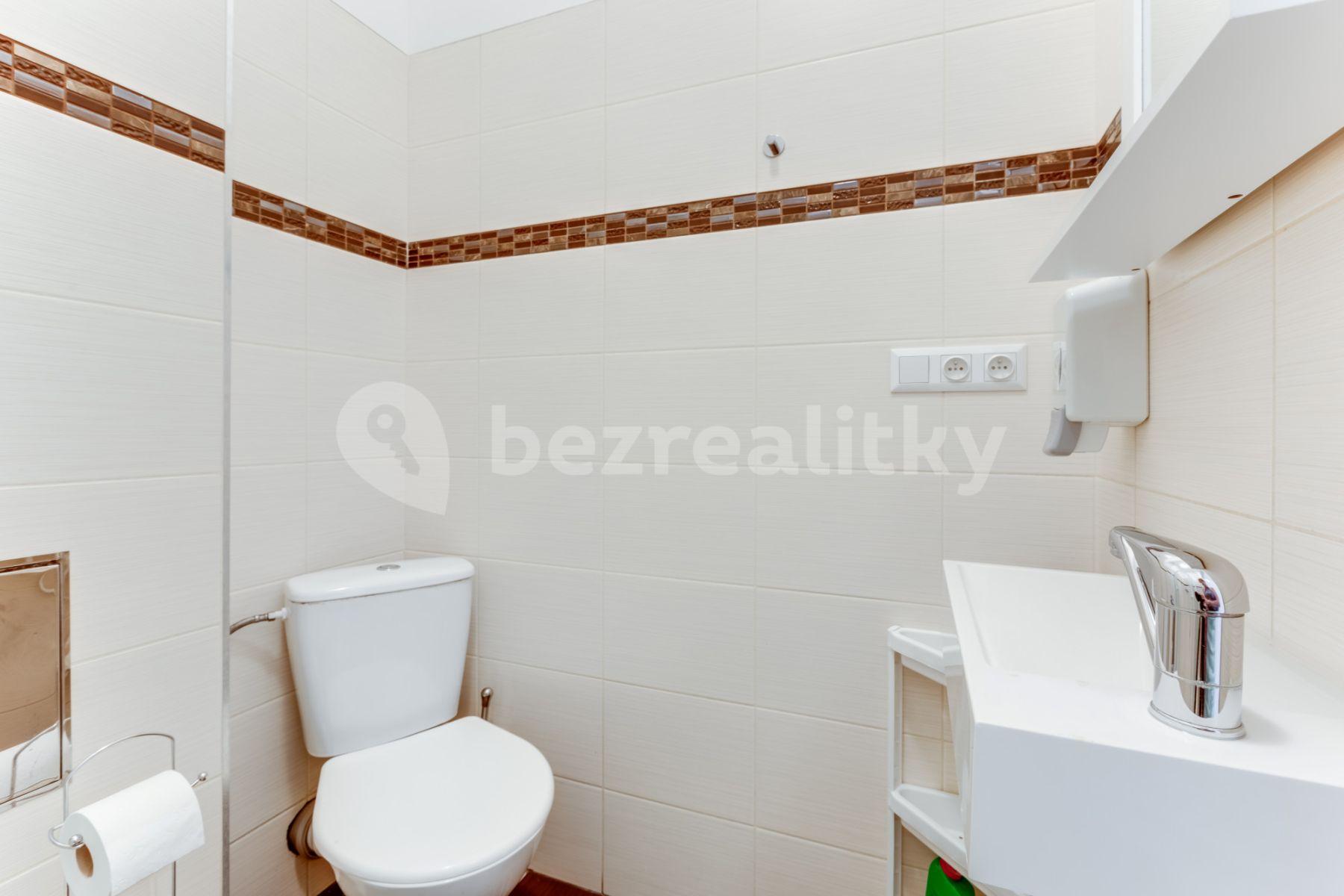 Studio flat to rent, 55 m², Lublaňská, Prague, Prague