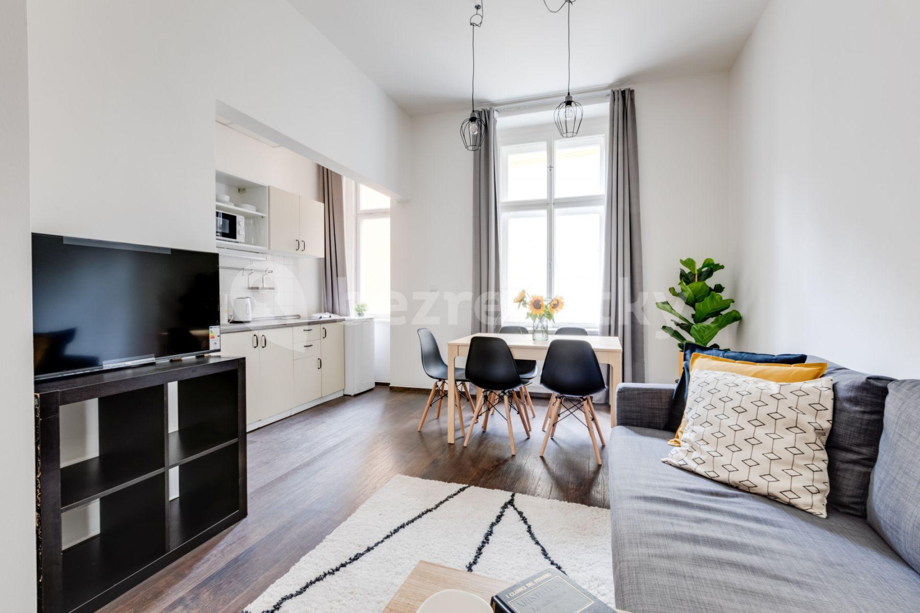 Studio flat to rent, 55 m², Lublaňská, Prague, Prague