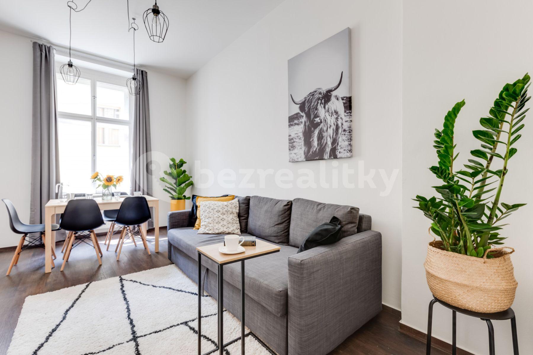 Studio flat to rent, 55 m², Lublaňská, Prague, Prague