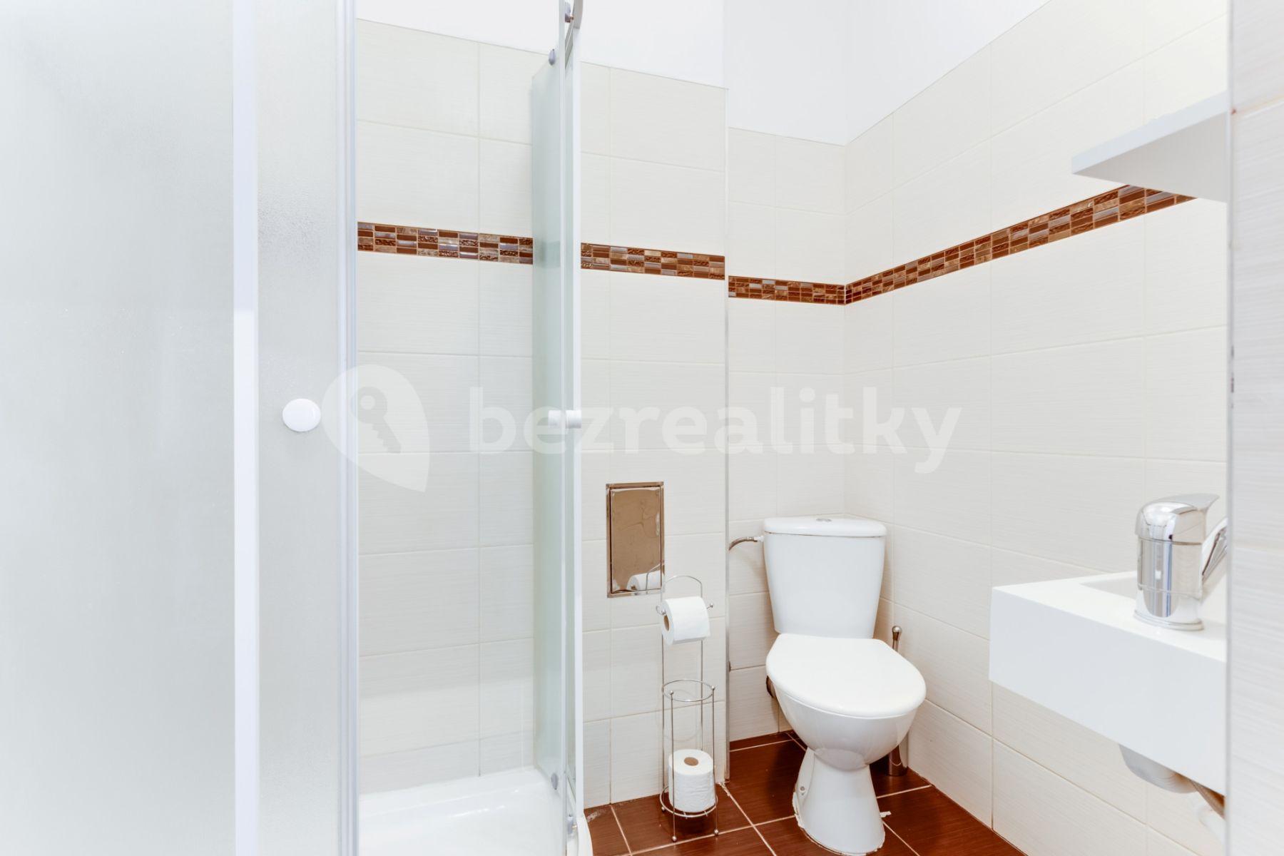 Studio flat to rent, 55 m², Lublaňská, Prague, Prague