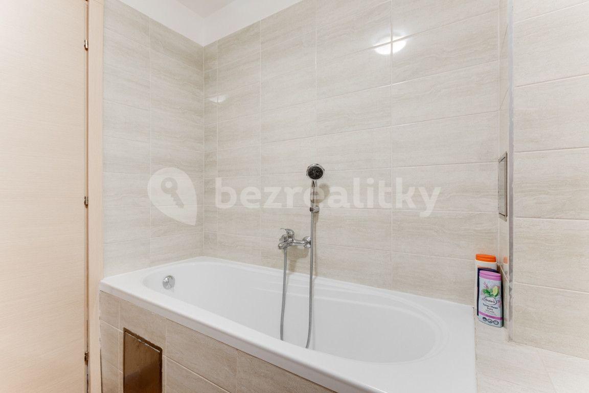 1 bedroom with open-plan kitchen flat to rent, 55 m², Legerova, Prague, Prague