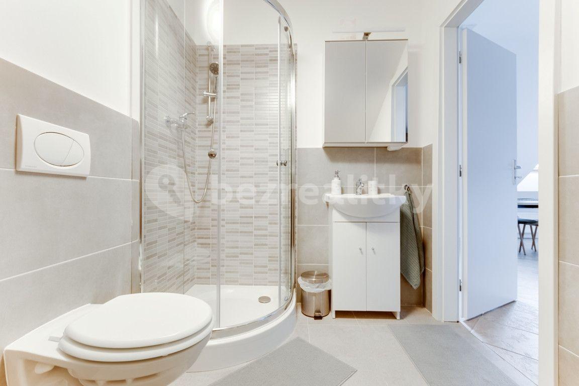 Studio flat to rent, 55 m², V Tůních, Prague, Prague