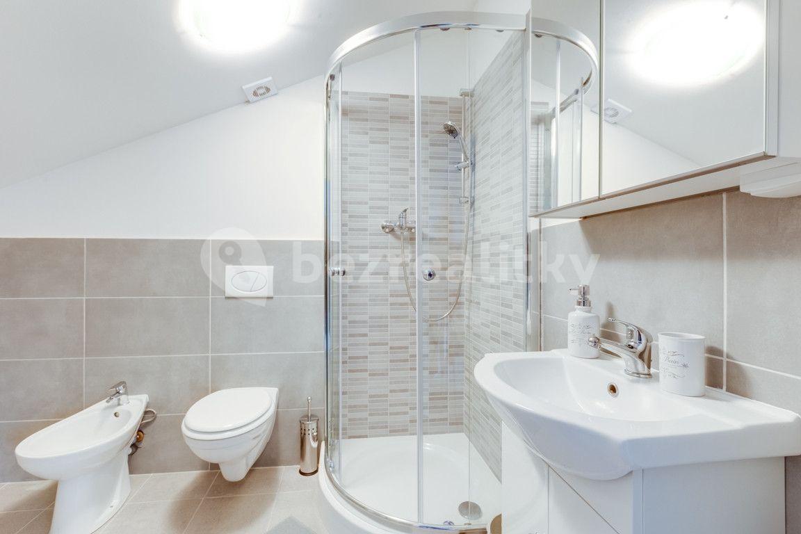 Studio flat to rent, 55 m², V Tůních, Prague, Prague