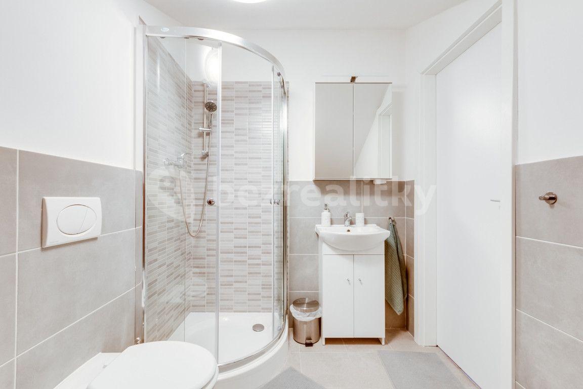 Studio flat to rent, 55 m², V Tůních, Prague, Prague