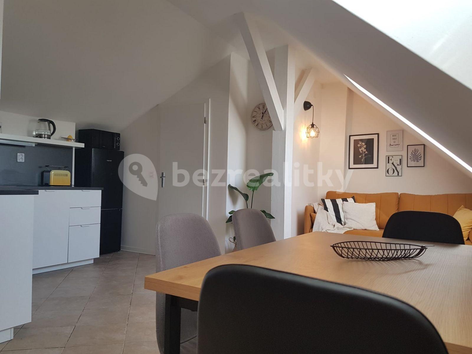 Studio flat to rent, 55 m², V Tůních, Prague, Prague