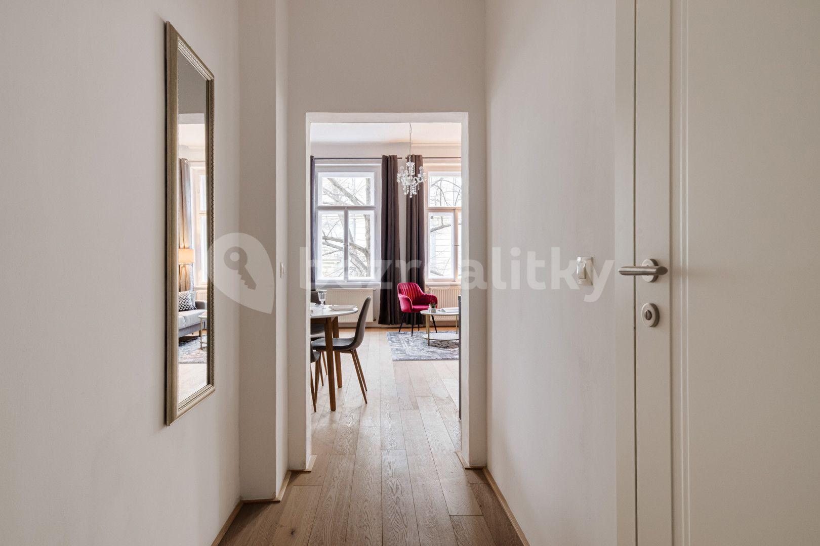 1 bedroom with open-plan kitchen flat to rent, 56 m², Kaizlovy sady, Prague, Prague