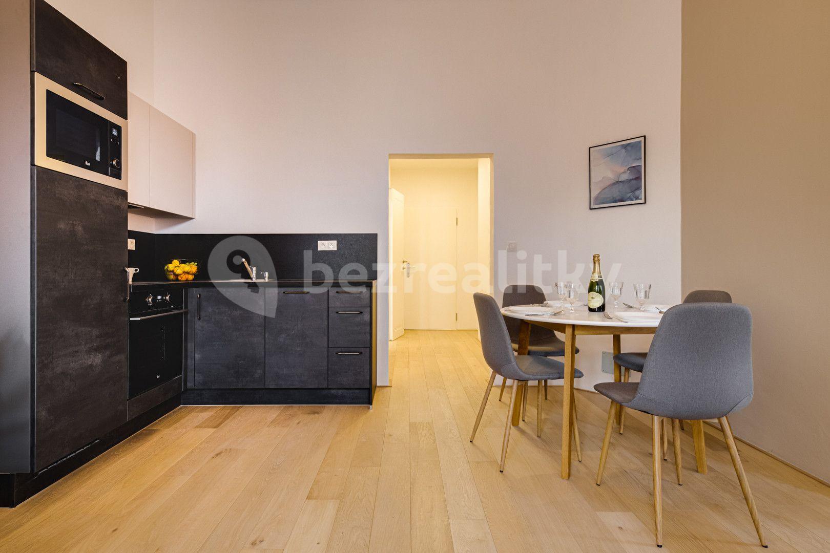 1 bedroom with open-plan kitchen flat to rent, 56 m², Kaizlovy sady, Prague, Prague