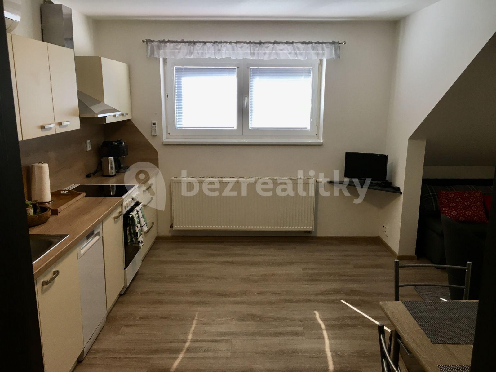 Studio flat to rent, 37 m², Palackého náměstí, Třeboň, Jihočeský Region