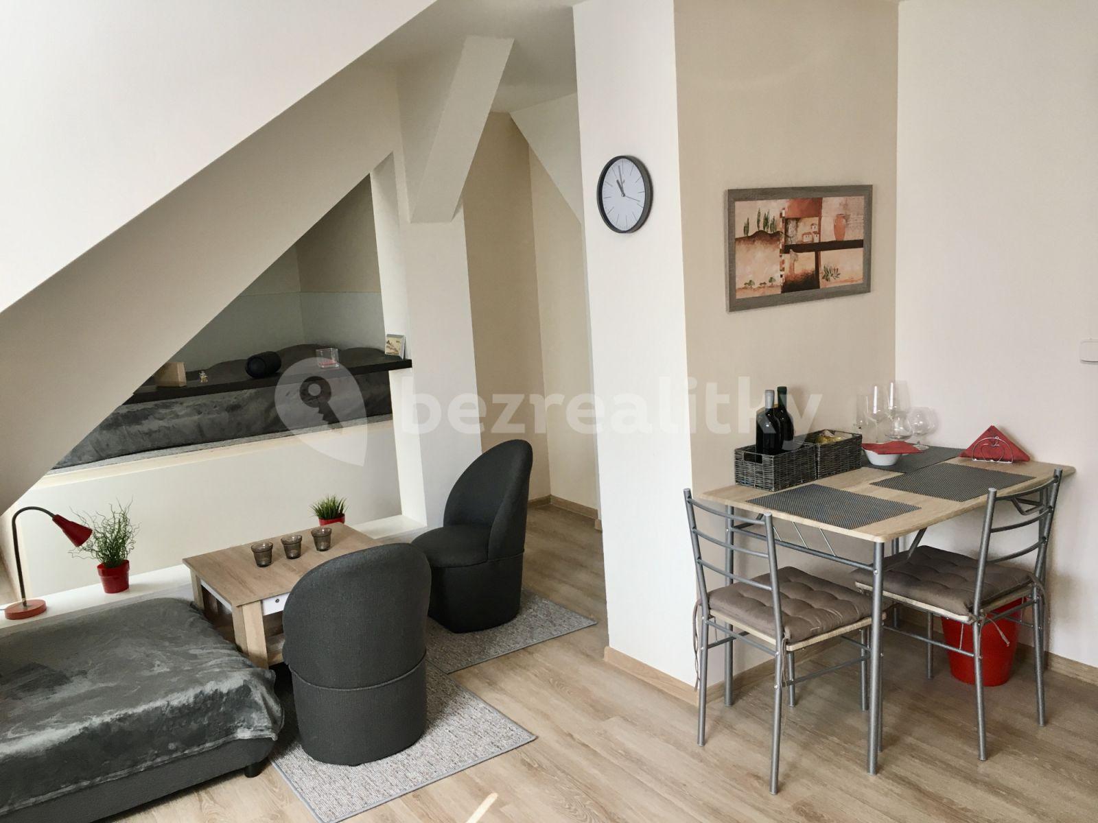 Studio flat to rent, 37 m², Palackého náměstí, Třeboň, Jihočeský Region